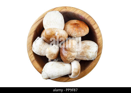 a crop of mushrooms in a plate on a white isolated background. clipping path Stock Photo