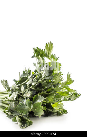 Celery crops stem leaves isolated on white background. Stock Photo