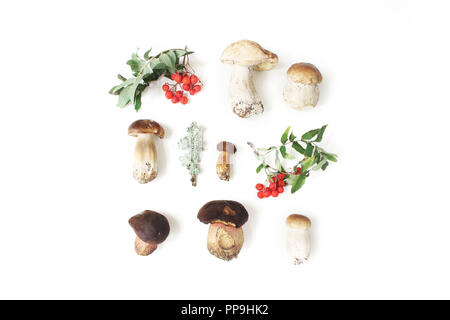 Autumn styled botanical arrangement. Composition of porcino mushrooms, Boletus edulis, rowan berries and lichen on white table background. Fall design, flat lay, top view. Stock Photo