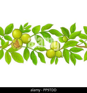 walnut vector pattern on white background Stock Vector