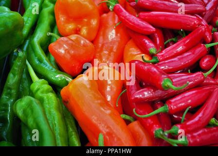 lots of colored hot peppers on display Stock Photo - Alamy