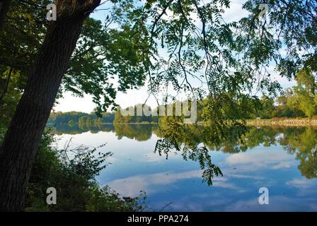 reflection in the river Stock Photo