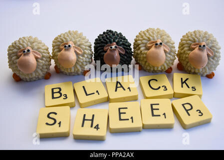 Black sheep among white sheep. Ethnic minority. Odd one out. Lonely. Idiom, conceptual, concept. Colour differences. Wayward, unique Stock Photo