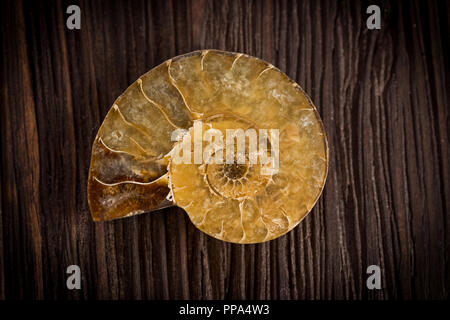 A polished half of fossil Ammonite on a dark wooden background Stock Photo