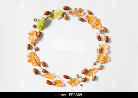 Wreath of autumn oak leaves and acorns on the light grey background, flat lay Stock Photo
