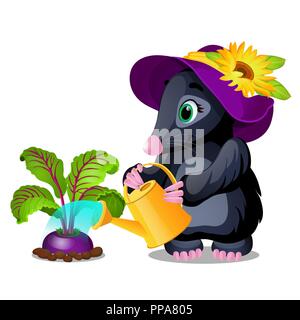 Cute animated mole watering beets from watering can isolated on white background. Vector cartoon close-up illustration. Stock Vector