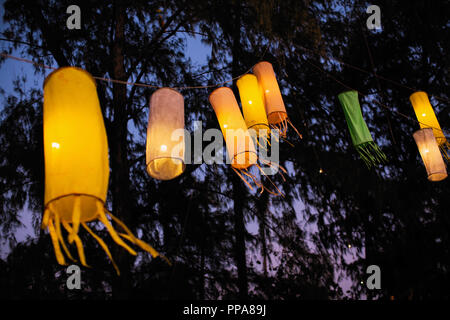 Chinese lanterns are hung in the trees at night. Stock Photo