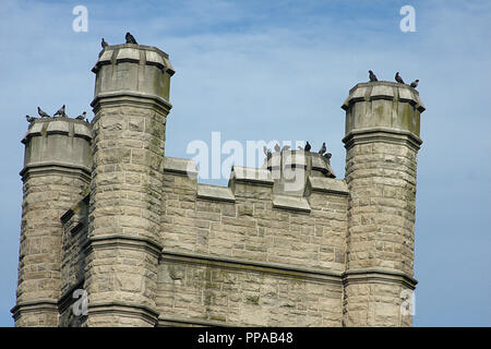 Pigeons on top of tower of historical church in Harrisonburg, Virginia. Asbury United Methodist Church. Stock Photo