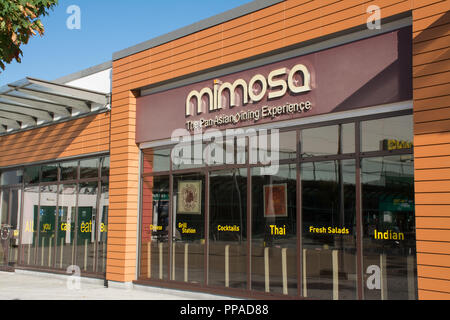 Mimosa Restaurant specializing in Pan Asian and World Buffet, UK Stock Photo