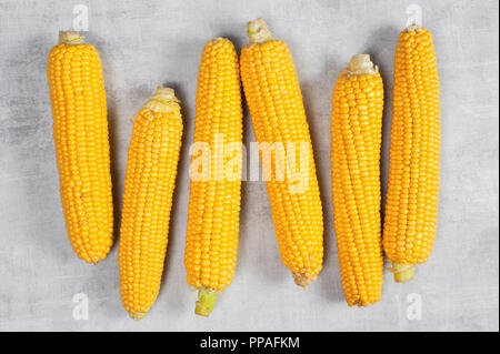 Pilled fresh corn cobs on the textured grey table, top view Stock Photo