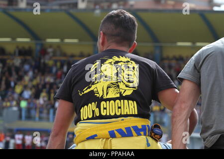 Frosinone / Italy - May 16, 2015: Canary fans at the stadium in the match that will promote the team in Serie A Stock Photo