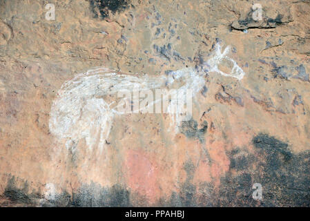 Aboriginal rock art of kangaroo at Nourlangie (Burrunggui), Kakadu National Park, Northern Territory, Australia Stock Photo