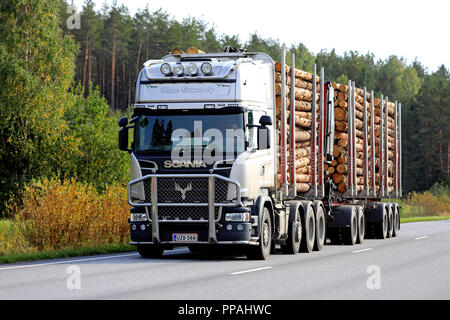 SALO, FINLAND - SEPTEMBER 21, 2018: Scania logging truck of Mauri Virtanen Oy transports load of pine logs on autumnal highway in South of Finland. Stock Photo