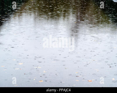 raindrops fall on wet surface of asphalt road in autumn rain Stock Photo