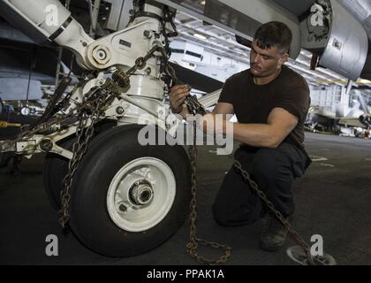 OCEAN (Aug. 23, 2018) Aviation Electrician's Mate Airman Ryan Arnold secures a safety chain to the nose landing gear of an F/A-18F Super Hornet from the Jolly Rogers of Strike Fighter Squadron (VFA) 103 in the hangar bay of the Nimitz-class aircraft carrier USS Abraham Lincoln (CVN 72). Abraham Lincoln is currently underway conducting carrier qualifications. Stock Photo