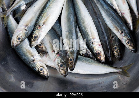 Background with fish selling in southeast asia market Stock Photo