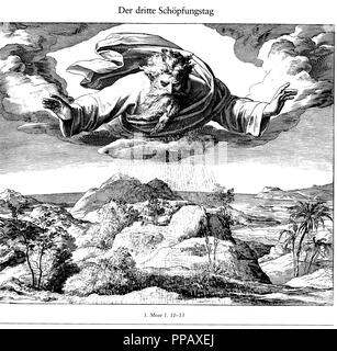 The Third Day of Creation (From Die Bibel in Bildern). Museum: PRIVATE COLLECTION. Author: SCHNORR VON CAROLSFELD, JULIUS. Stock Photo