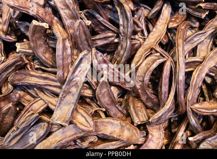 lot of Dry pods of Ceratonia siliqua, commonly known as the carob tree, St John's-bread, or locust bean Stock Photo