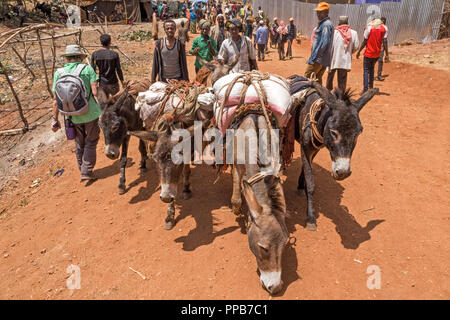 Dolo Mena market, Oromia Region, Ethiopia. Livestock market. Stock Photo