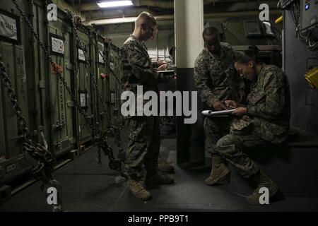 Marines with the 31st Marine Expeditionary Unit verify gear serial numbers aboard the amphibious assault ship USS Wasp (LHD 1) at White Beach Naval Facility, Okinawa, Japan, Aug. 21, 2018. The Marines verified the gear to ensure all required gear and supplies arrived aboard the Wasp. The 31st MEU, the Marine Corps’ only continuously forward-deployed MEU, provides a flexible force ready to perform a wide-range of military operations in the Indo-Pacific region. Stock Photo