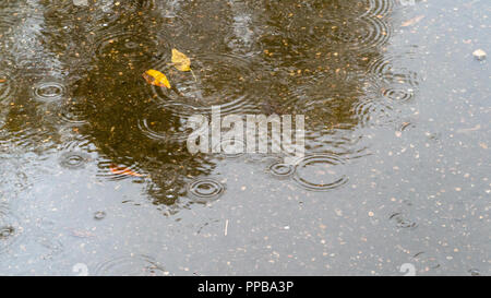 rain drops falling in puddle on road in autumn rain Stock Photo