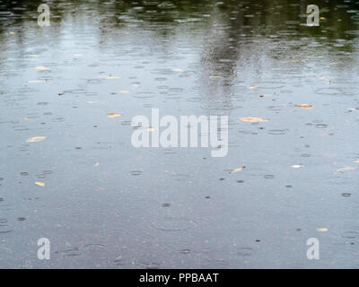 view of puddle on road puddle in autumn rain Stock Photo
