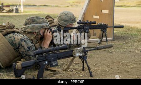 U.S. Marines Corps Lance Cpl's Nicholas Adams, left, and James Barnes assigned to Kilo Company, 3d Battalion, 3d Marine Regiment, work as a shooter spotter team using the M28 Designated Marksmanship Rifle to engage targets at the range during Exercise Bougainville I on Marine Corps Base Hawaii, Kaneohe Bay, Aug. 21, 2018. Bougainville I is the first phase of the pre-deployment training cycle for the battalion and is an exercise focused on building small-unit skills to increase proficiency in combat. Stock Photo