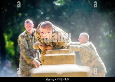 FORT BENNING, Ga (Aug. 31, 2018) – Trainees from Delta Company, 2nd Battalion, 19th Infantry Regiment, train on the Sand Hill Obstacle Course at Fort Benning, Georgia, August 28. The battalion is charged with training and transforming civilians into disciplined, adaptive and flexible Infantrymen, ready to accomplish the mission of the Infantry Corps. Stock Photo