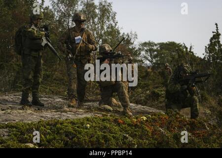 Swedish Marines conduct an amphibious assault during the annual NATO ...