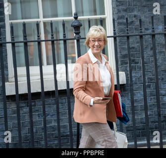 Leader Of The House Of Commons Andrea Leadsom Arrives In Downing Street   London 24th September 2018 Andrea Leadsom Mp Pc Leader Of The House Of Commons Arrives At 10 Downing Street London Credit Ian Davidsonalamy Live News Ppbpre 