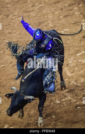 September 23, 2018 - Fairfax, Virginia, U.S - RYAN DIRTEATER rides a bull named Jailhouse Jr. during the second night of competition held at EagleBank Arena in Fairfax, Virginia. (Credit Image: © Amy Sanderson/ZUMA Wire) Stock Photo