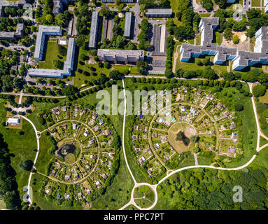 Aerial view, High-rise settlement next to allotment garden Werzenkamp, round gardens, allotments, Scharnhorst, Dortmund Stock Photo