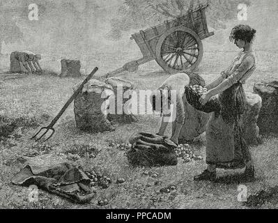 Agriculture. Mowing. Engraving, 19th century. Stock Photo