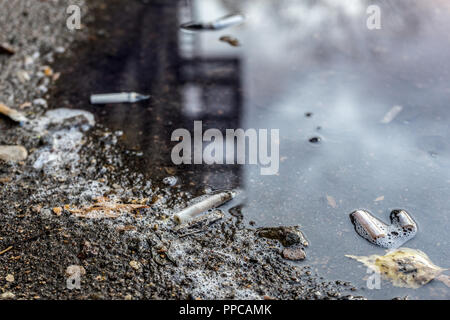 cigarette butts and leaves in autumn puddle. selective focus. Stock Photo