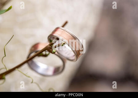 Closeup of bride and groom wedding rings hanging from a twig. Conceptual of wedding and commitment. Stock Photo
