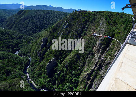 Bungee Jumping at Bloukrans Bridge, Plettenberg, Western Cape, South Africa Stock Photo