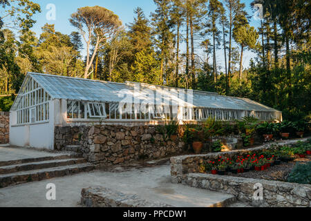 Sintra, Portugal - Sept 23, 2018: Greenhouse in Pena Park, Sintra, Portugal - UNESCO World Heritage Site Stock Photo