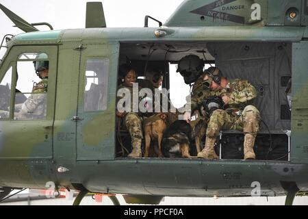 Members of the 5th Security Forces Squadron military working dog section prepare to take off with the 54th Helicopter Squadron during flight familiarization training at Minot Air Force Base, North Dakota, Aug. 23, 2018. This was the first time the K-9 unit has flown with the 54th Helicopter Squadron. Stock Photo