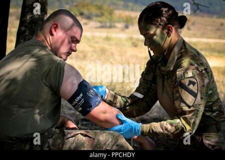 U.S. Army Pfc. Dominique Sanchez, a combat medic assigned to Headquarters and Headquarters Company, 2nd Battalion 5th Cavalry Regiment, 1st Armored Brigade Combat Team, 1st Cavalry Division, checks a simulated casualty’s vitals during the medical evaluation portion of a Table VIII medical exercise, Novo Selo Training Area, Bulgaria, August 27, 2018. Table VIII is an annual event to test combat medic’s life-saving skills by using simulated battlefield medical emergencies. Stock Photo