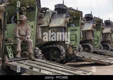 U.S. Marine Corps Cpl. Egon Yancick, an amphibious assault vehicle crewman with 3D Assault Amphibian Battalion awaits further instructions in an AAV-P7/A1 tasked to carry Marines with Bravo Company, 1st Battalion, 4th Marines, 1st Marine Regiment during a simulated mechanized raid at Marine Corps Base Camp Pendleton, Calif., Aug. 28, 2018. The Marines were being observed by  Expeditionary Operations Training Group to prepare the units for an upcoming deployment with the 31st Marine Expeditionary Unit. Stock Photo