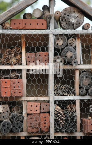 Variety of textures and holes offered as a bee nesting house and lure for mason bees. Stock Photo