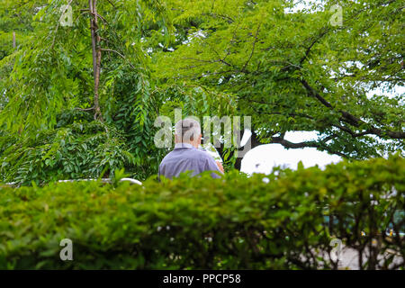 An old man sitting in a public park Stock Photo