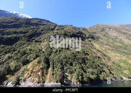 Fjordland New Zealand , Milford Sound Stock Photo