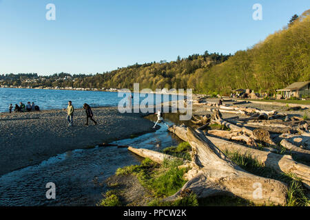 Clear sky over people relaxing on coastal beach filled with driftwood, Seattle, Washington, USA Stock Photo