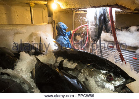 Man fishing for tuna fish off boat in Puerto Vallarta ...