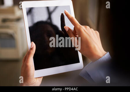 Close up of woman’s hands using tablet touchscreen Stock Photo