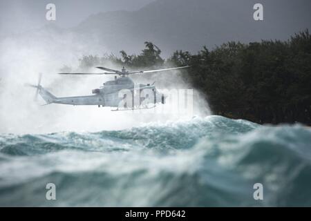 U.S. Soldiers and Marines assigned to the Defense POW/MIA Accounting Agency (DPAA) and Lightning Academy, 25th Infantry Division, conduct helocast training out of a UH-1Y Huey helicopter at Marine Corps Training Area Bellows, Hawaii, Aug. 29, 2018. DPAA conducts global search and recovery operations in some of the most austere environments on the planet in the effort to provide the fullest possible accounting of our missing personnel to their families and the nation. Stock Photo