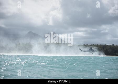 U.S. Soldiers and Marines assigned to the Defense POW/MIA Accounting Agency (DPAA) and Lightning Academy, 25th Infantry Division, conduct helocast training out of a UH-1Y Huey helicopter at Marine Corps Training Area Bellows, Hawaii, Aug. 29, 2018. DPAA conducts global search and recovery operations in some of the most austere environments on the planet in the effort to provide the fullest possible accounting of our missing personnel to their families and the nation. Stock Photo