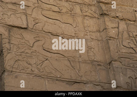 Relief depicting egyptian war chariots at the Battle of Kadesh. 13th century B.C. New Kingdom. First Pylon of the Temple of Luxor. Thebes. Egypt. Stock Photo