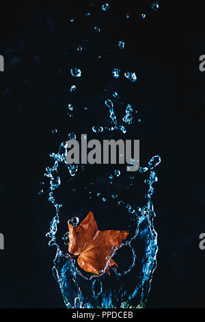 Maple leaf in a splash of water on a dark background. High-speed autumn photography with copy space Stock Photo